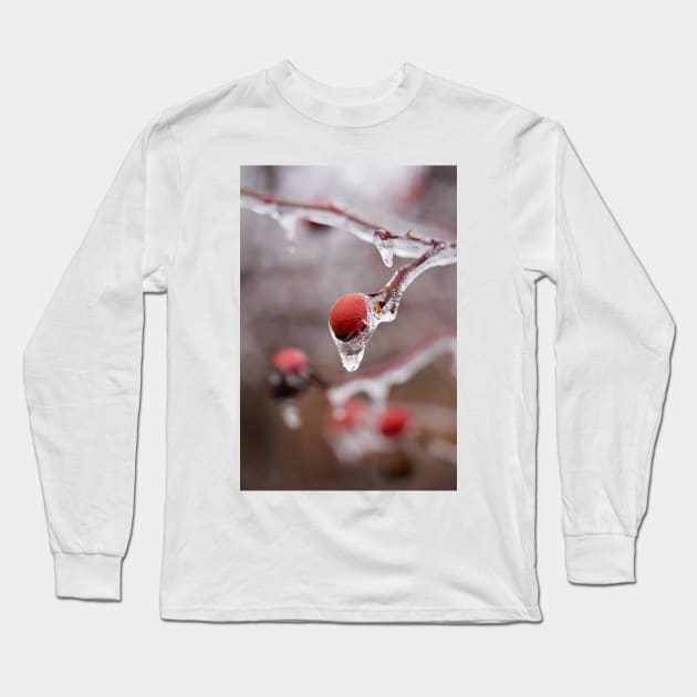 Frozen briar berries Long Sleeve T-Shirt by naturalis